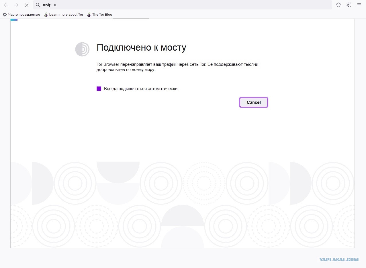 Кракен новый маркетплейс