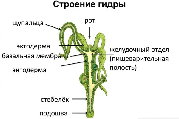 Официальная тор ссылка кракен сайта