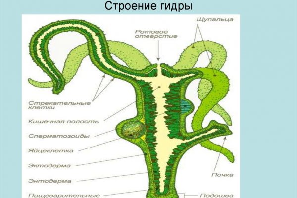 Новая ссылка кракена