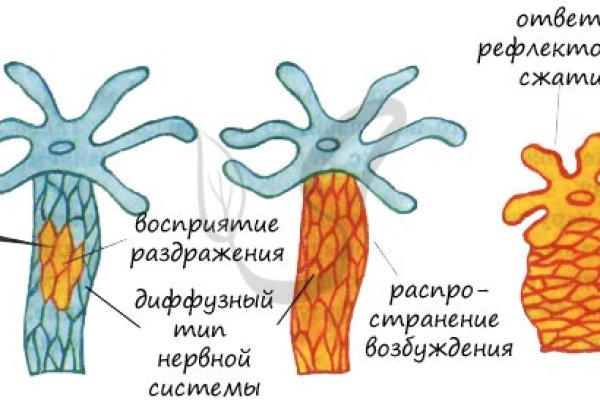 Что продает кракен